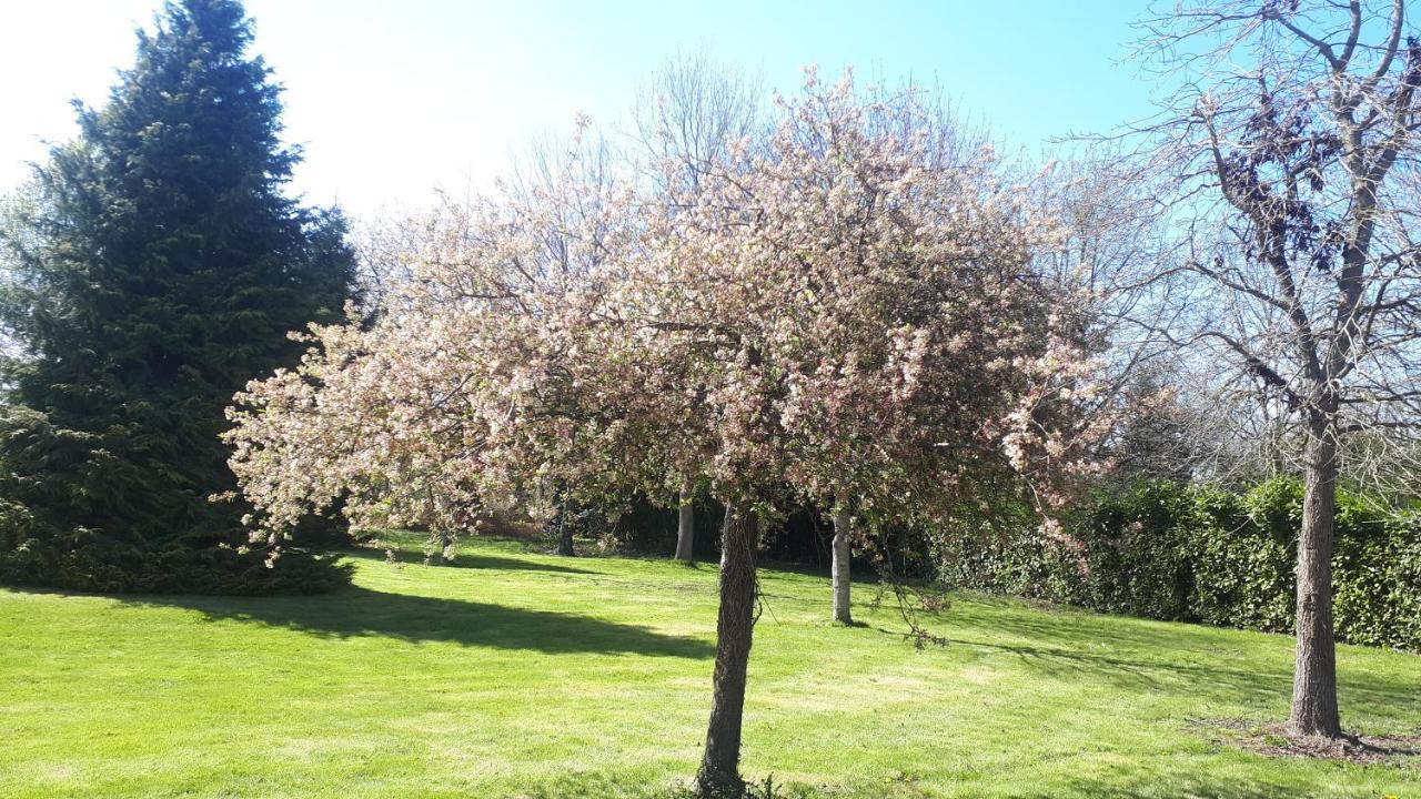 Gite De Bon Air Sens-de-Bretagne ภายนอก รูปภาพ